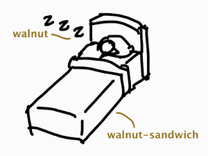 Walnut.png